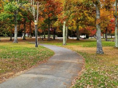 A curved pathway through a park with trees displaying autumn colors and scattered leaves on the grass.