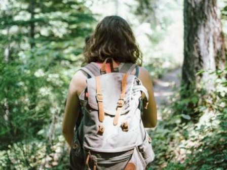 A person with a backpack walks through a lush forest path, surrounded by green foliage and tall trees.