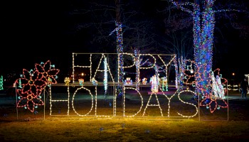 The image shows holiday lights spelling “HAPPY HOLIDAYS” with decorative light-up flowers and trees in a festive outdoor setting.