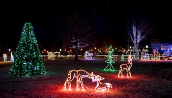 A festive holiday light display featuring a Christmas tree, deer, and various illuminated figures in a nighttime park setting.