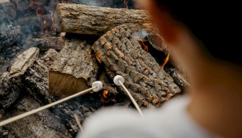 Two marshmallows on sticks being roasted over a campfire with logs and flames visible in the background.